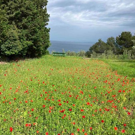 Istrian Green House Порторож Экстерьер фото